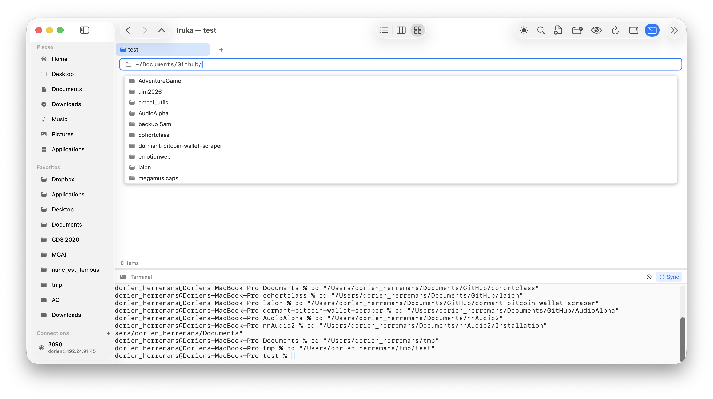 Iruka showing the smart path bar with autocomplete and the synced terminal below